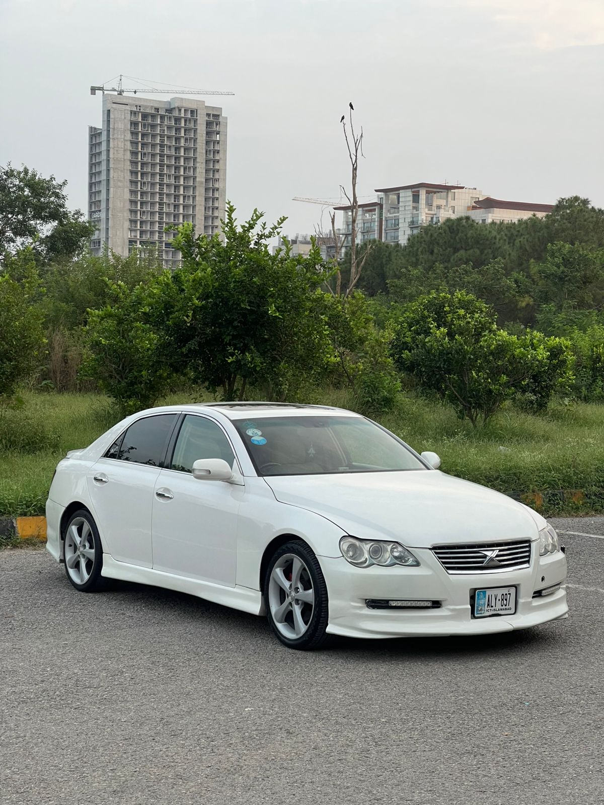 Toyota Mark X 300G Premium