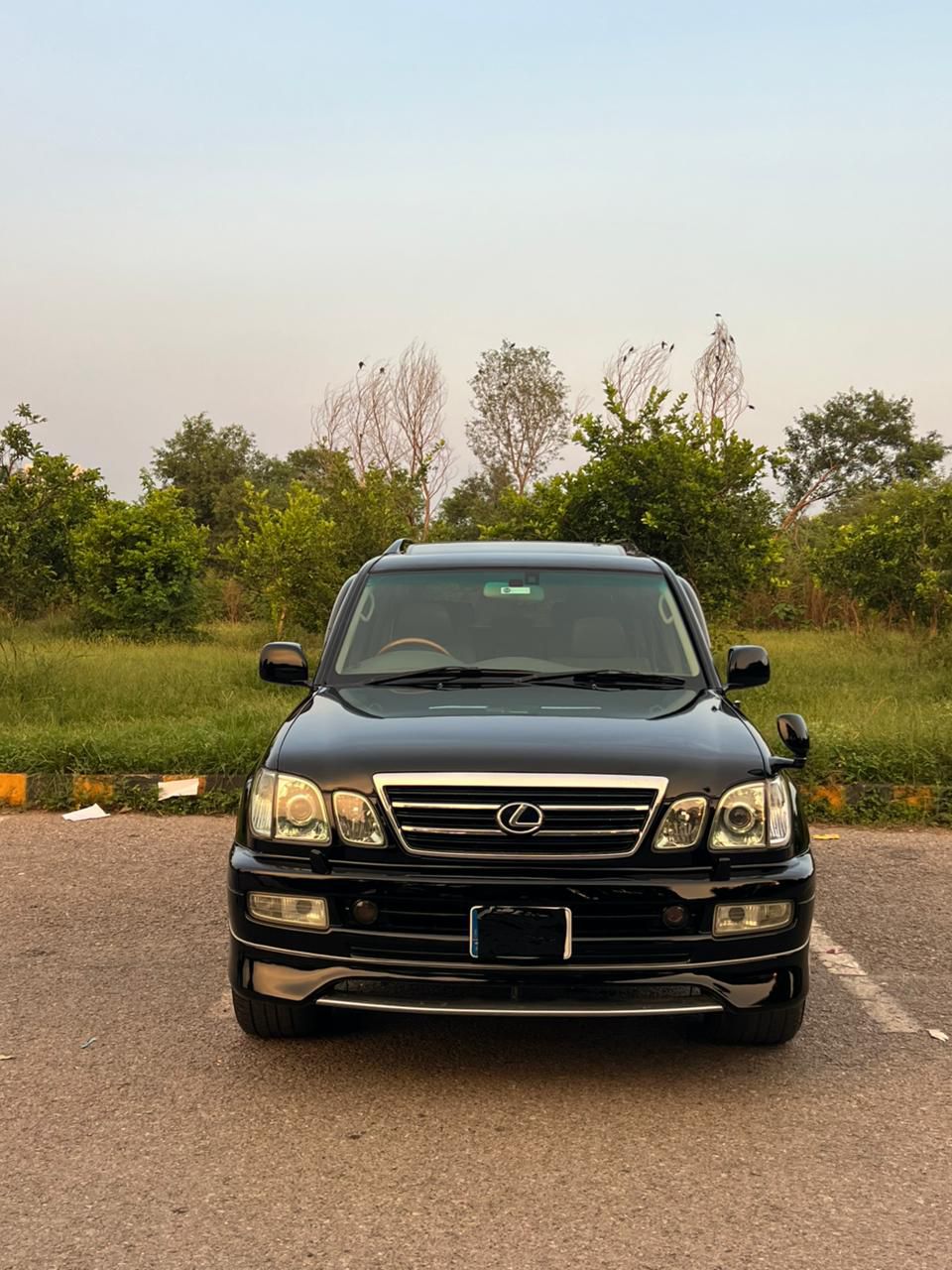 Toyota Land Cruiser Cygnus